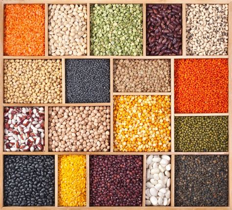 The Year of Pulses: Exploring the Future of Food