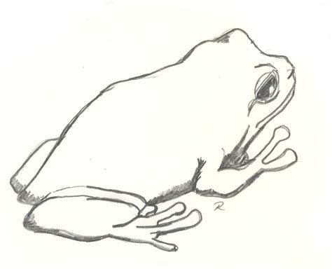 Tree Frog | Some sketches of animals that I found in Derby W… | Flickr