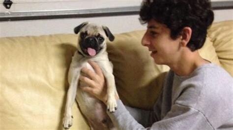 FaZe Rug's Dog 'Bosley the Pug' Dies, YouTuber Pens Emotional Note | Viral News, Times Now