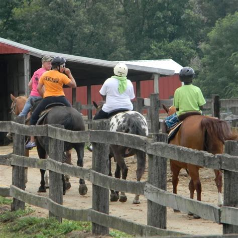 Home | Grand Ledge, MI | Sundance Riding Stables