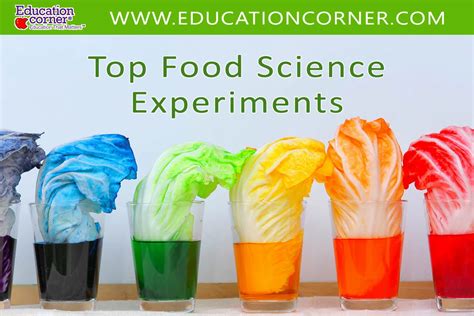 Top 50 Fun Food Science Experiments - Education Corner