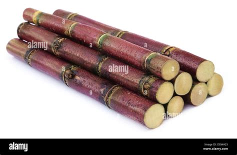 Yield of sugarcane crop hi-res stock photography and images - Alamy