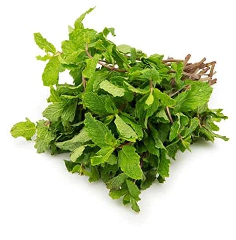 Mint Leaves (Pudina) - Bunch of 5 - Gromaal- Local Grocer of Assam