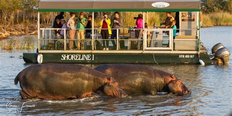 iSimangaliso Wetland Park - St Lucia South Africa