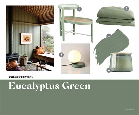 Eucalyptus Green Paint Color Only Paintcolor Ideas Ca - vrogue.co