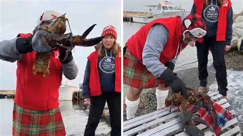 Lucy The Lobster Saw Her Shadow This Morning In Nova Scotia – Six More ...