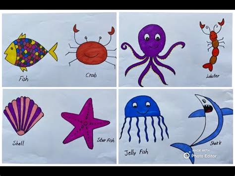 Easy Water Animals or Sea creatures drawing -( Fish, Crab, Starfish, Octopus, JellyFish, Shark ...