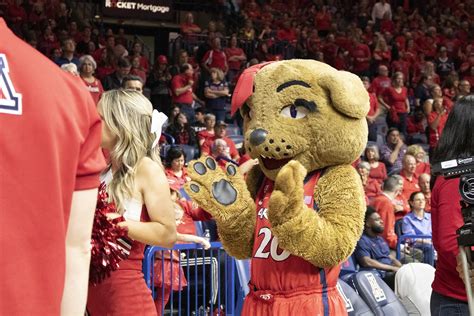 Untold Arizona: Arizona University Mascots A Century In The Making | KJZZ