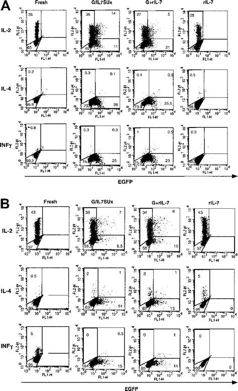 Cytokine profile of IL-7 mediated lentiviral-transduced naive T cells ...