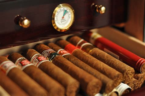 Does It Matter What Hygrometer You Choose? - The Cigar Store