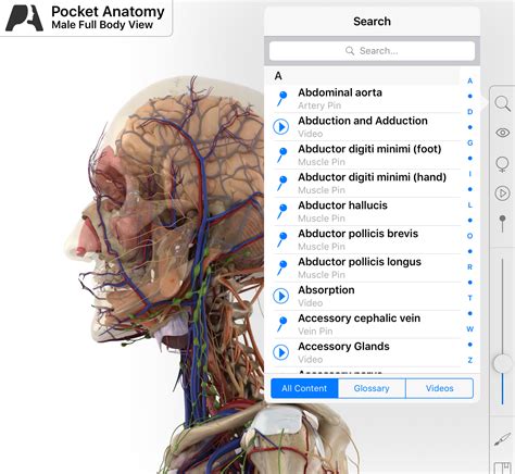 medical terminology, greek roots, latin roots, medical jargon, pocket