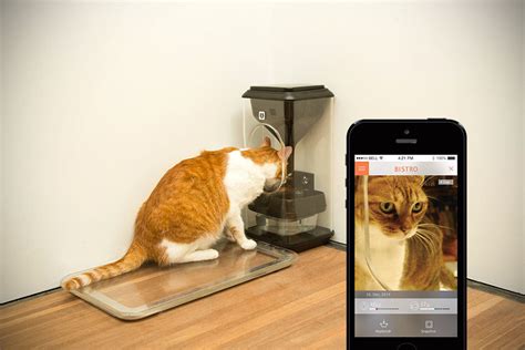 Bistro Smart Cat Feeder Goes Super High-Tech With Cat Facial ...