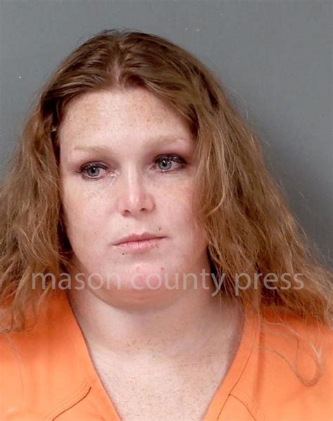 Embezzlement charges top recent arraignments. | MasonCountyPress.com