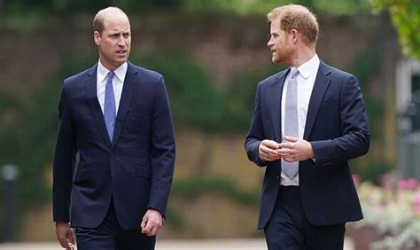 Harry and William's Coronation reunion will be 'carefully orchestrated ...