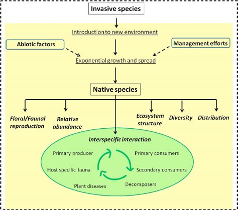 Illustrative depiction of impact of invasive species on an ecosystem ...