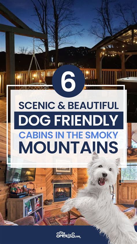 Best dog friendly cabins in the smoky mountains top 4 ranked 2023 – Artofit