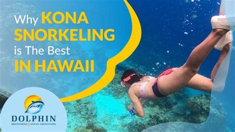 Kona Snorkeling is Best in Hawaii | Dolphin Discoveries