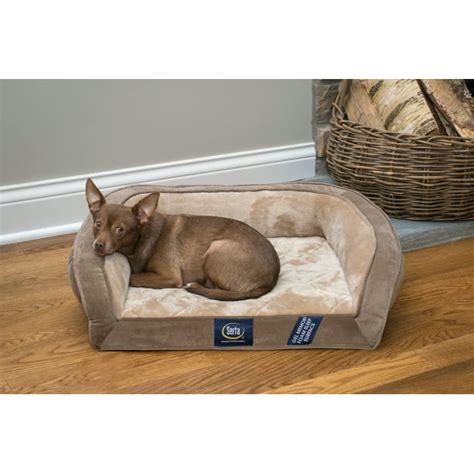 Serta Gel Memory Foam Quilted Ortho Couch Dog Bed, Small Brown ...