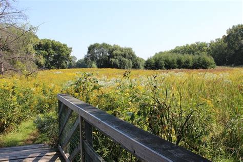 Aldo Leopold Nature Center (Monona) - 2020 All You Need to Know BEFORE You Go (with Photos ...