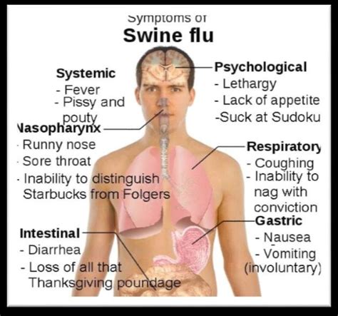 Main symptoms of swine flu in humans 5 | Download Scientific Diagram