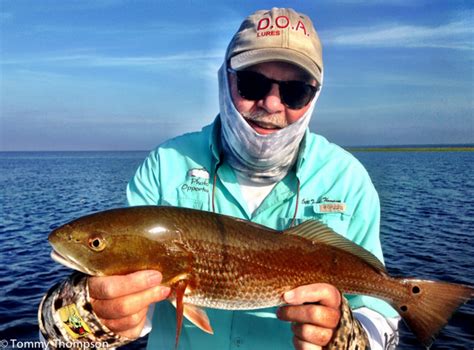 "Early Birds" Catch The Fish-Summertime Fishing on Florida's Big Bend ...