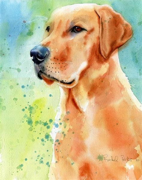 Yellow Labrador Retriever Dog Art Print of My Watercolor - Etsy