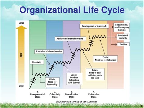 Five Stages In The Organizational Life Cycle