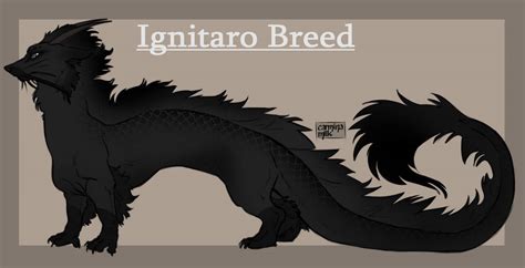 0038 Dragon form by Ignitaro-Admin on DeviantArt