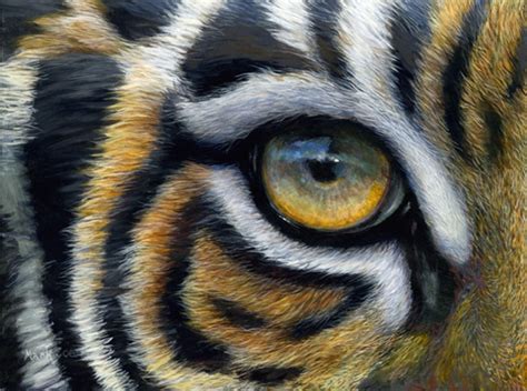 Tiger Eye - Laura Mark-Finberg