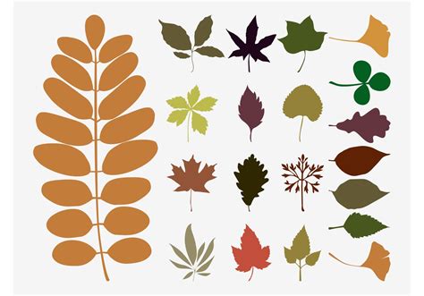 Fall Leaves Vectors - Download Free Vector Art, Stock Graphics & Images