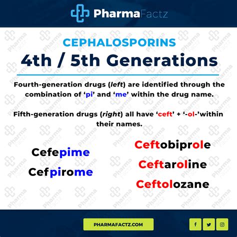 Cephalosporin Mechanism Of Action - cloudshareinfo