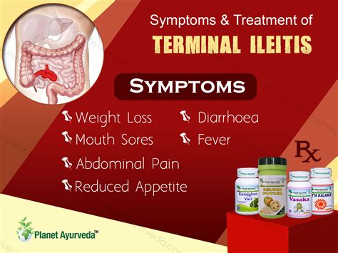 Treatment of Terminal Ileitis in Ayurveda