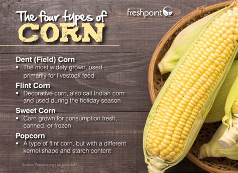 FreshPoint | corn-types-freshpoint-produce