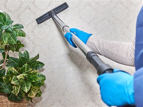 Top 17 Best Steamer Cleaners for Walls and Ceilings 2024