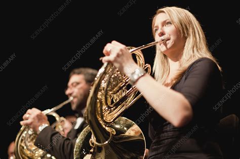 French horn players in orchestra - Stock Image - F004/4664 - Science ...