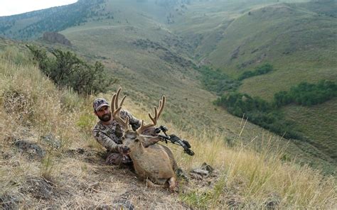 Early Season Mule Deer Hunting Tactics - Western Hunter