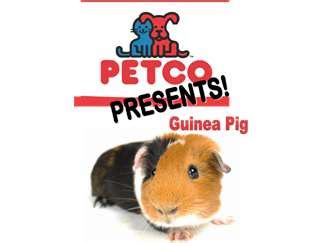 Petco Presents: Guinea Pig! | Nampa Public Library | Nampa Events at ktvb.com