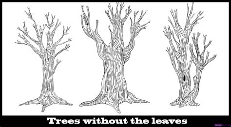 Drawing A Tree Without Leaves | kids drawing coloring page | Tree drawing, Palm tree drawing ...