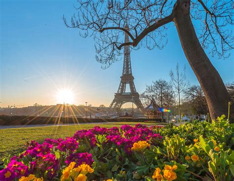 How to spend a perfect day in Paris in the summer | LaptrinhX / News