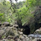 Makamakaole Falls, Maui, Hawaii - 280 Reviews, Map | AllTrails