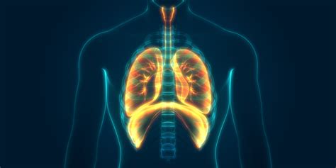 NaTHNaC - Respiratory conditions