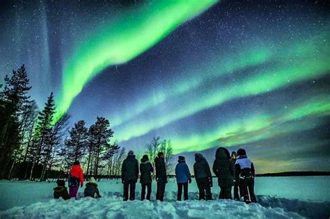 Rovaniemi: Lapland Northern Lights Tour with BBQ | GetYourGuide