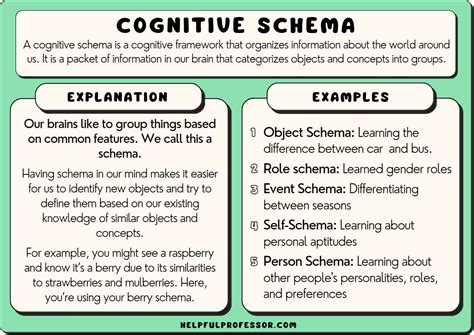 15 Schema Examples (In Learning Psychology) (2023) (2023)