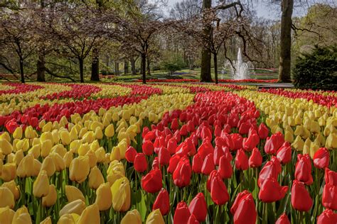 Keukenhof Tickets & Tours 2022 - Tulip Festival Amsterdam