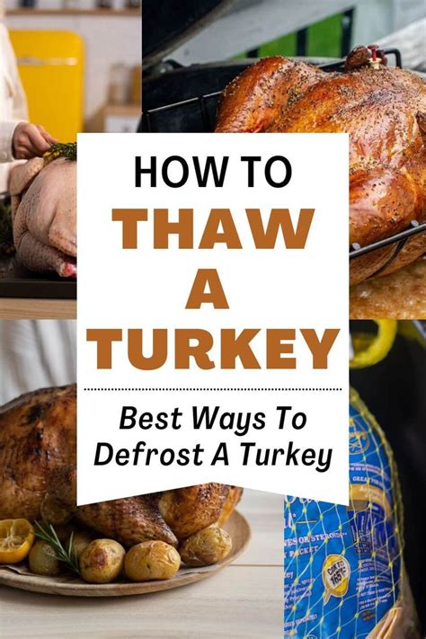 The Complete Guide to Thawing a Turkey Safely