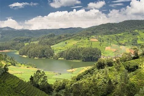 Ooty with Kodaikanal 5 days tour package - Travel Comfort