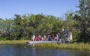 The Best Airboat Tours - New Orleans - La Vie de Jacquelyn