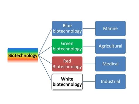 Biotechnology - Benefits and Risks at a Glance - ReadWrite