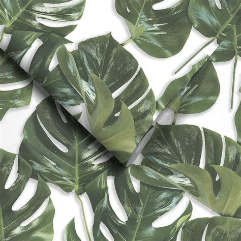 Monstera Wallpaper: Green & White Monstera Leaf - Woodchip & Magnolia