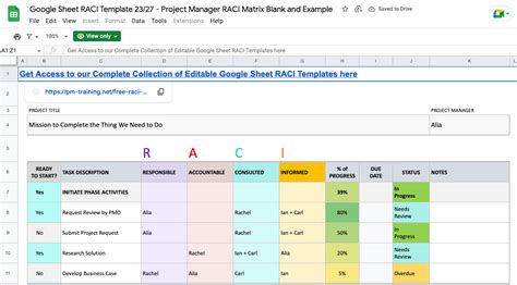 Free RACI Chart Templates in Excel, Google Sheets, & ClickUp